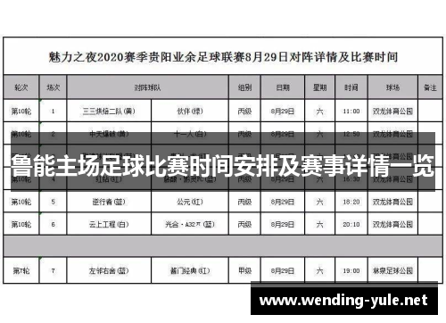 鲁能主场足球比赛时间安排及赛事详情一览