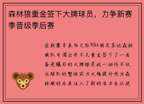 森林狼重金签下大牌球员，力争新赛季晋级季后赛